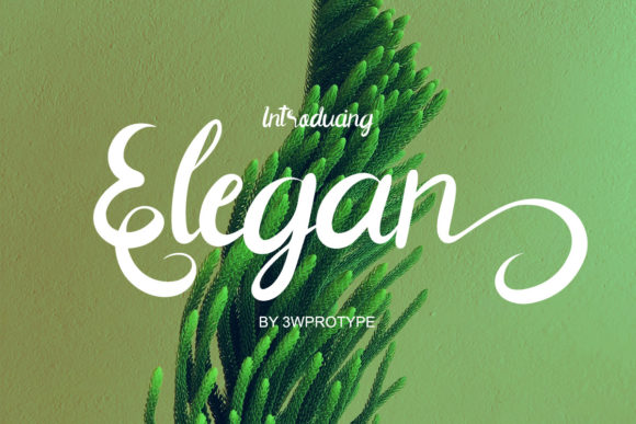 Elegan Typeface: A Script Font That Elevates Brand Campaigns