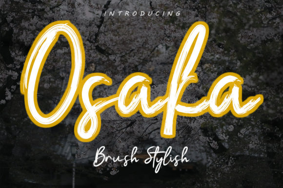 Osaka: A Script Font That Brings Joy to Modern Publishing