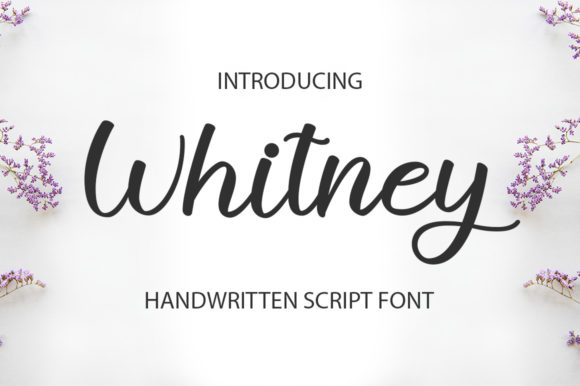 Withney Font: A Stylish Typeface for Digital Design